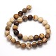 Frosted Round Natural Petrified Wood Beads Strands G-N0166-71-6mm-3