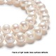 Natural Cultured Freshwater Pearl Beads Strands PEAR-R063-16-3