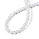 Natural Freshwater Shell Beads Strands BSHE-T009B-01A-2