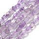 Natürlichen Amethyst Perlen Stränge&nbsp;G-P497-01E-21-1