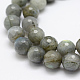Natural Labradorite Beads Strands G-P322-28-10mm-3