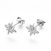 Серьги-гвоздики из циркония EJEW-T046-28P-NF