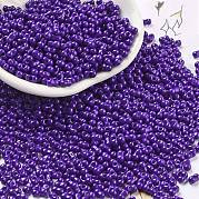 Выпечка краска стеклянные бусины SEED-A033-04O