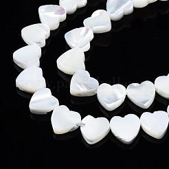 Natürliche Trochidschale / Trochusschalenperlenstränge&nbsp;SSHEL-N034-98B-B01