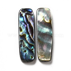 Paua Shell naturale perle&nbsp;SHEL-G014-07B