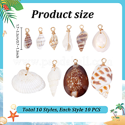 100 stücke 10 stile shell anhänger&nbsp;PALLOY-PH01882