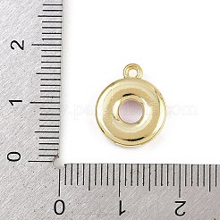 Legierung Emaille Anhänger / charms&nbsp;ENAM-I067-02G-05