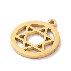Anhänger aus Edelstahl 304&nbsp;LS-STAS-S149-10G