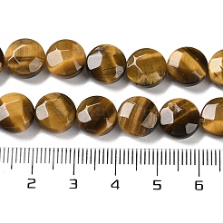 Natürlichen Tigerauge Perlen Stränge&nbsp;G-K357-B12-01