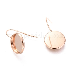 Ganci per orecchini in acciaio inossidabile 304&nbsp;LS-STAS-F227-22C-RG
