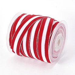 Ruban de polyester&nbsp;SRIB-F008-A05-10mm
