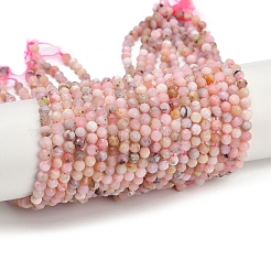 Natürliche rosa Opalkorne Stränge&nbsp;G-M092-D02-02