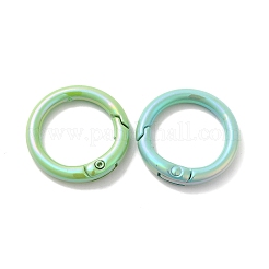 Federring aus spritzlackierter Legierung&nbsp;PALLOY-H131-08