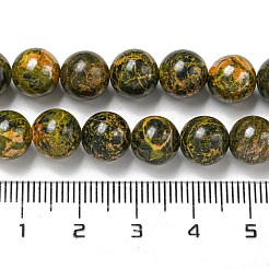 Fili di perle di diaspro naturale calabrone&nbsp;G-P544-A03-03