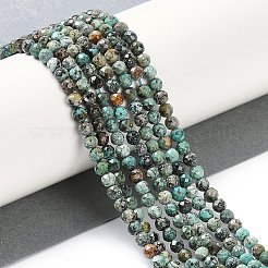Natürliche afrikanische türkis (jasper) perlen stränge&nbsp;G-N342-29B