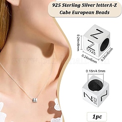 Abalorios de plata esterlina&nbsp;STER-WH20009-04Z-P