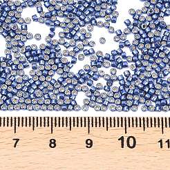 Miyuki Delica Perlen&nbsp;SEED-MY11-DB2517