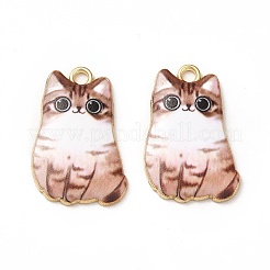 Pendentifs d'émail en alliage&nbsp;X-ENAM-M046-12G-C