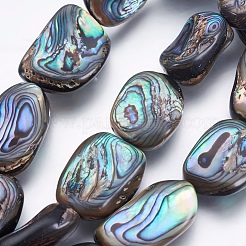 Natürliche Abalone Muschel / Paua Muschel Perlen Stränge&nbsp;SSHEL-P014-04