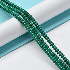 Fili di perline howlite naturale&nbsp;G-E604-H01-C