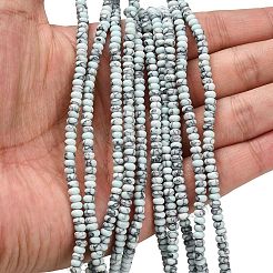 Kunsttürkisfarbenen Perlen Stränge&nbsp;G-L635-A10-4x2mm-03