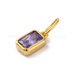 925 ciondolo in argento sterling con zirconi&nbsp;STER-NH0014-01G-02