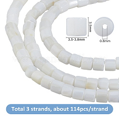 3 Strang natürliche Süßwasser-Muschelperlen&nbsp;SHEL-HS0001-16