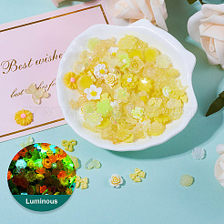 30 g leuchtende Decoden-Cabochons aus Harz&nbsp;RESI-TA0003-32B