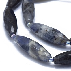 Naturperlen Stränge iolite&nbsp;G-O179-G22