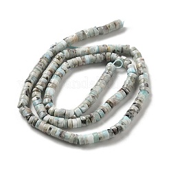 Abalorios naturales larimar hebras&nbsp;G-Q024-B03-01