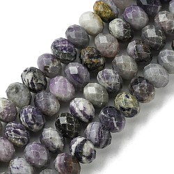Brins de perles de sugilite naturelles, facette, rondelle, 9.5~10x7~7.5mm, Trou: 0.9mm, Environ 55 pcs/chapelet, 15.94'' (40.5 cm)