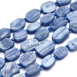 Natural Kyanite/Cyanite/Disthene Beads Strands, Flat Slab Beads, Nuggets, Frosted, 8~23x6~13x3~6mm, Hole: 1mm, about 19pcs/strand, 15.3 inch(39cm)