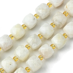 Chapelets de perles en pierre de lune naturelle, avec des perles de rocaille, cube à facettes, 8~9x8~9x8~9mm, Trou: 0.9~1mm, Environ 35~39 pcs/chapelet, 14.80''~15.16'' (37.6~38.5 cm)