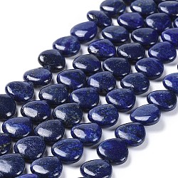 Lapis lazuli naturelles cardiaques brins de perles, teinte, 16x16x6.5mm, Trou: 1mm, Environ 26 pcs/chapelet, 15.3 pouce