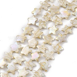 Brins de perles de coquille d'eau douce naturelles de style drawbench, étoiles du nord, cornsilk, 18~19.5x18~20x3~4mm, Trou: 0.9mm, Environ 19~20 pcs/chapelet, 13.58~13.98'' (34.5~35.5 cm)