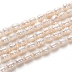 Brins de perles de culture d'eau douce naturelles, riz, bisque, 6~8x4~5mm, Trou: 0.7mm, Environ 52 pcs/chapelet, 14.17 pouce (36 cm)