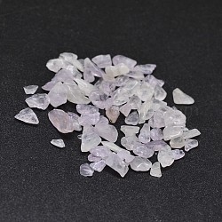 Natürlichen Amethyst Chip-Perlen, kein Loch / ungekratzt, 2~8x2~4 mm