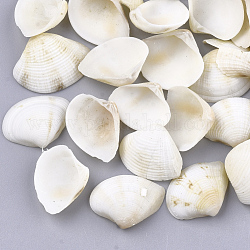 Clam shell perles, perles non percées / sans trou, floral blanc, 14~20x17~26x5~6mm, environ 530~590 pcs/500 g