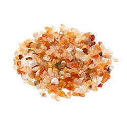 Perles naturelles puce cornaline, pas de trous / non percés, teints et chauffée, 2~8x2~4mm, environ 8500 pcs/500 g