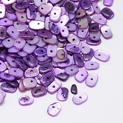 Dyed Natural Freshwater Shell Chips Beads, Purple, 7~10x5~7x1~4mm, Hole: 1mm, about 2600pcs/500g