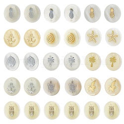 Pendentifs de coquillages d'eau douce naturelle, rond plat avec des motifs mixtes, couleur mixte, 16x3.5~4mm, Trou: 1.5mm, 16 modèles, 2pcs / modèle, 32 pcs / boîte