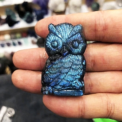 Dyed Natural Labradorite Carved Display Decorations, Figurine Home Decoration, Reiki Energy Stone for Healing, Owl, 44x25x10mm
