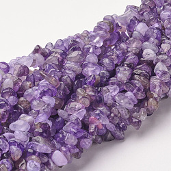 Natural Amethyst Beads Strands, Chips, Purple, Purple, 2.5~7x3~11mm, Hole: 1mm, 34 inch