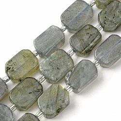 Chapelets de perles en labradorite naturelle , avec des perles de rocaille, rectangle, 11.5~12.5x7.5~10x5~6.5mm, Trou: 0.8~0.9mm, Environ 13 pcs/chapelet, 7.68~8.07 pouce (19.5~20.5 cm)