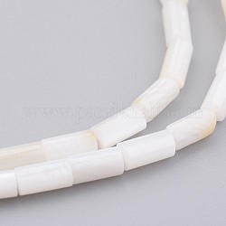 Hebras de perlas shell naturales, teñido, columna, blanco floral, 8x4mm, agujero: 0.5 mm, aproximamente 50 pcs / cadena, 15.7 pulgada