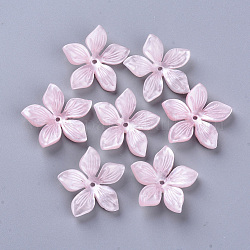 Capuchons de perles en acétate de cellulose à 5 pétale (résine), fleur, rose, 20.5~21.5x22~23x4.5mm, Trou: 1.2mm