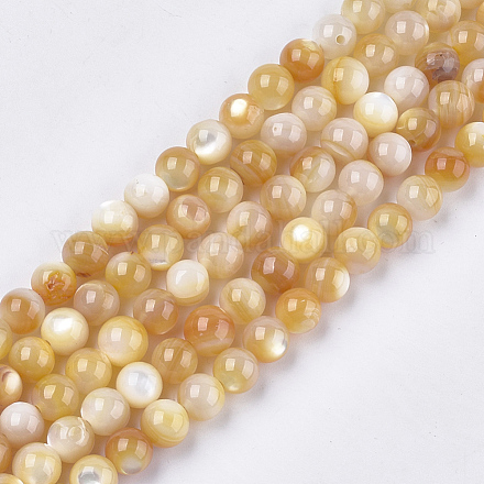 Yellow Shell Beads Strands SHEL-S274-93E-1
