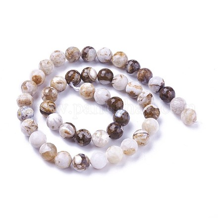 Chapelets de perles en bois pétrifié amérique naturelle G-P430-15-C-1