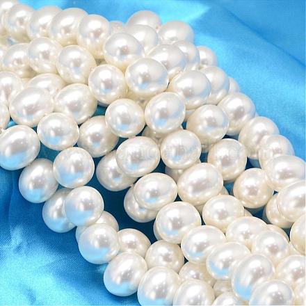 Concha ovalada hebras de abalorios de perlas BSHE-L013-S-A013-1
