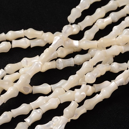 Natural White Shell Beads Strands SSHEL-D058A-1